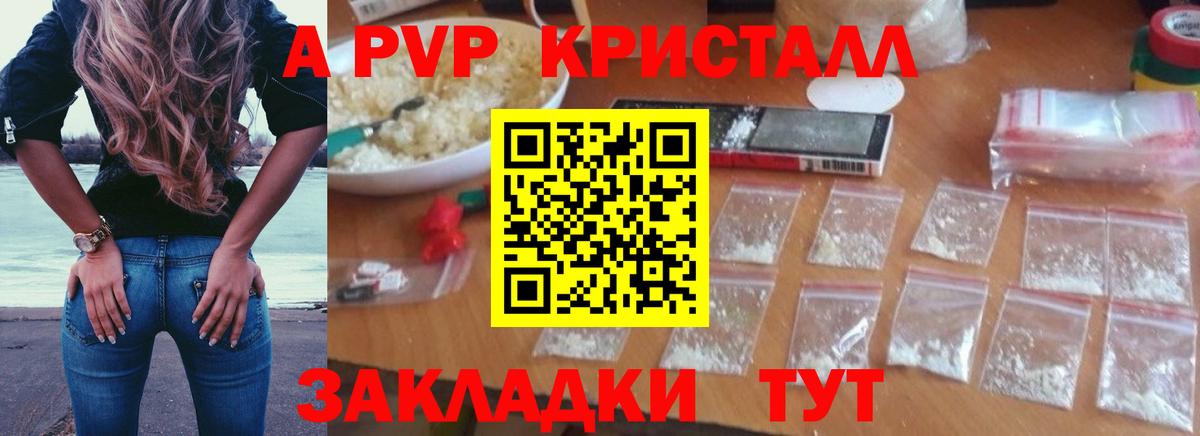 Alfa_PVP СК КРИС Сыктывкар