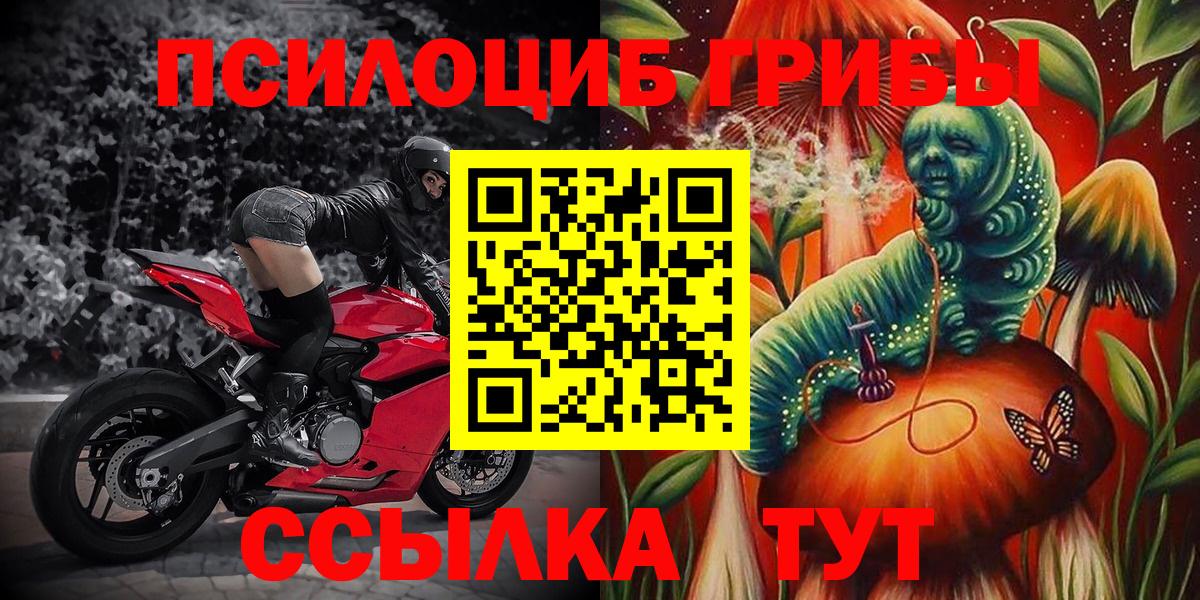 Псилоцибиновые грибы Magic Shrooms  Вход с VPN  Сыктывкар  Галлюциногенные грибы GOLDEN TEACHER 